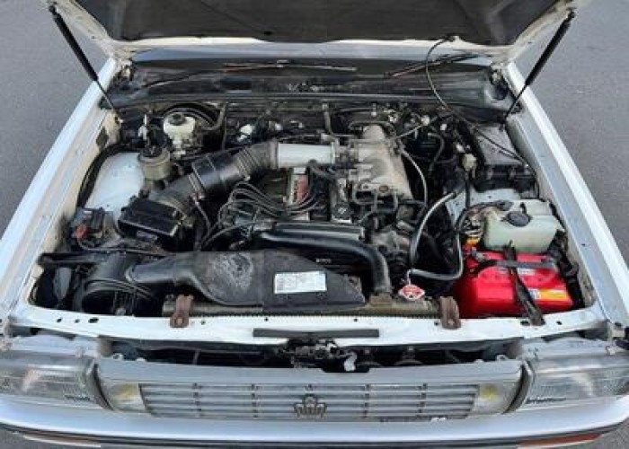 843/1691572120IMG_4055.jpg.jpg